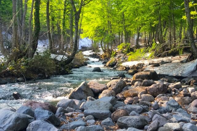 甘口日本酒の決め手は水？北海道の伏流水が生む特別な味わい
